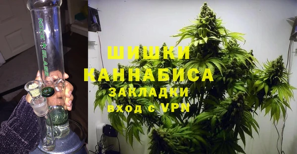 ALPHA PVP Нягань