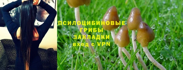 ALPHA PVP Нягань