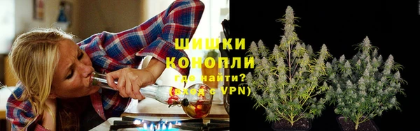 сатива Нязепетровск