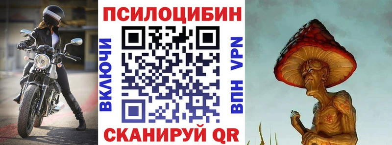 где можно купить наркотик  кракен зеркало  Галлюциногенные грибы GOLDEN TEACHER  Сургут 