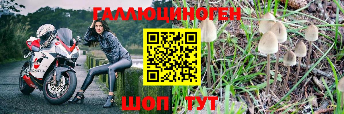 Псилоцибиновые грибы мицелий Сургут