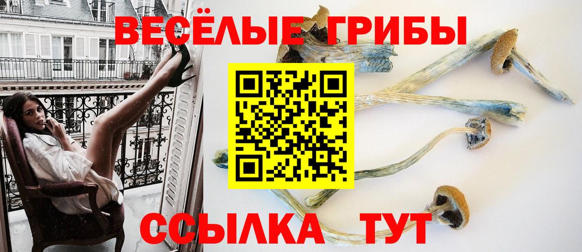 Сургут  Галлюциногенные грибы мухоморы  Вход с VPN 