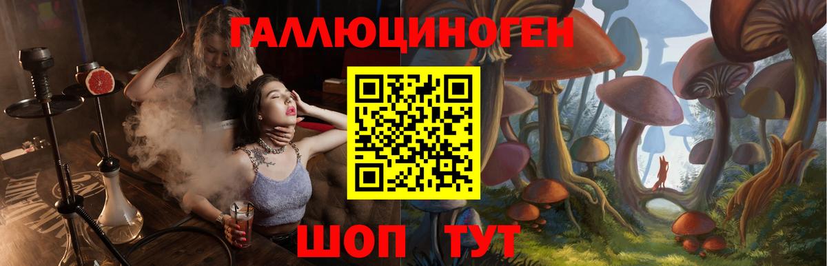 Галлюциногенные грибы GOLDEN TEACHER  Сургут 